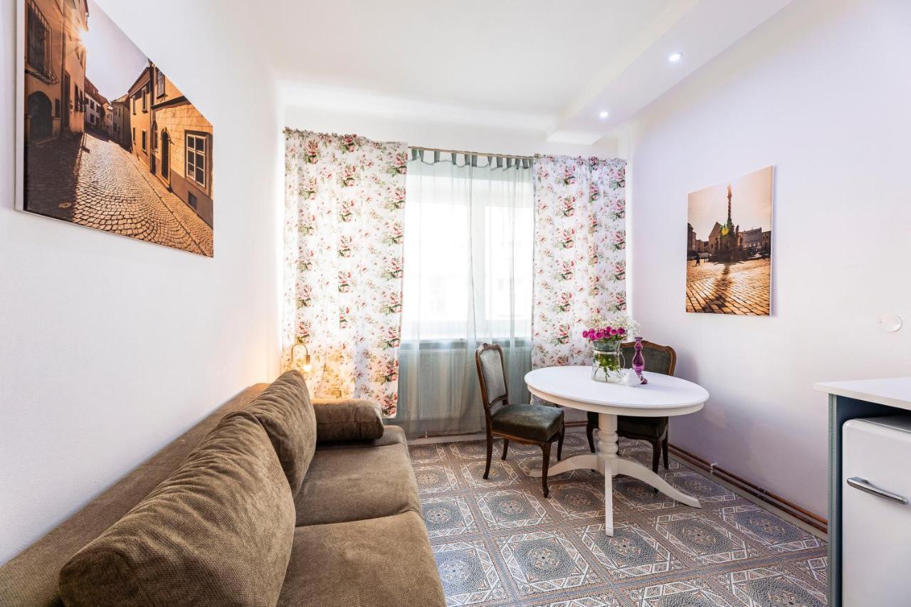Silvie Apartments - Masaryk Dolni Оломоуц Екстер'єр фото